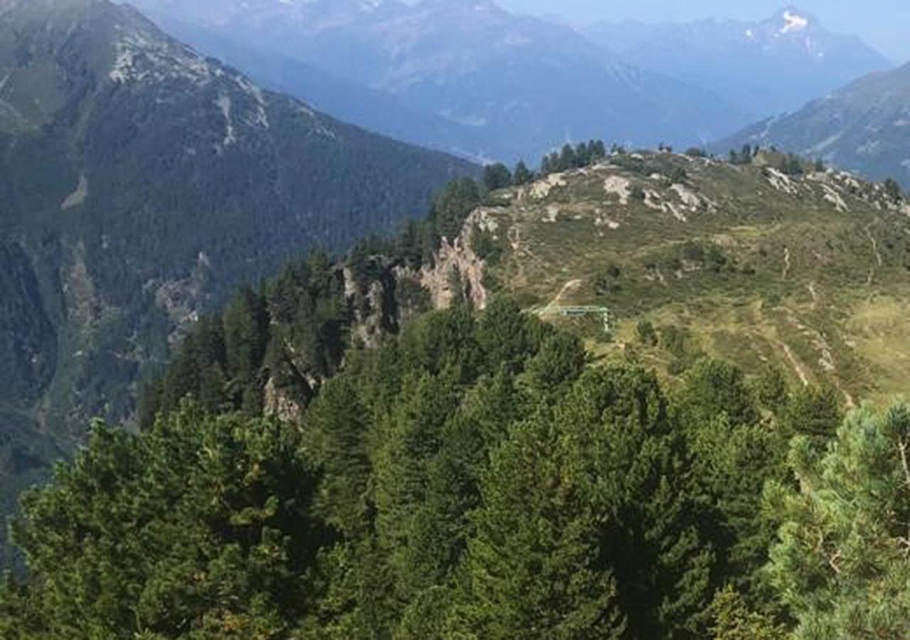 Haus Brigitte - Preise Inclusive Pitztal Sommer Card Йерценс Екстериор снимка